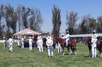 Exhiben a los mejores equinos.