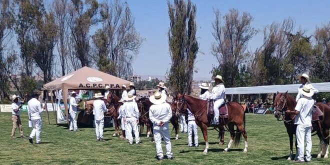 Exhiben a los mejores equinos.