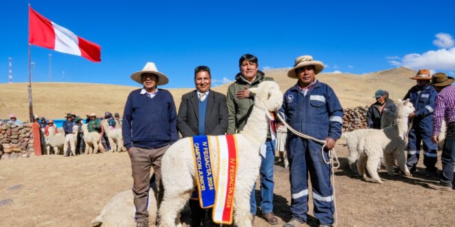 Puno: Inauguran feria alpaquera Fecasam 2024 en Macusani