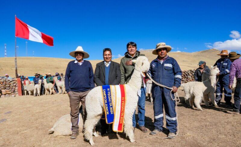 Puno: Inauguran feria alpaquera Fecasam 2024 en Macusani