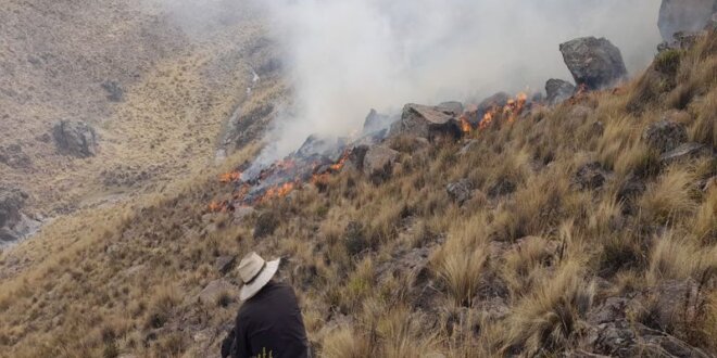 Incendio forestal en Caylloma.