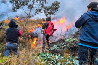 Cuatro fallecidos y cinco mil hectáreas de cobertura natural destruidas dejan los incendios forestales en Áncash