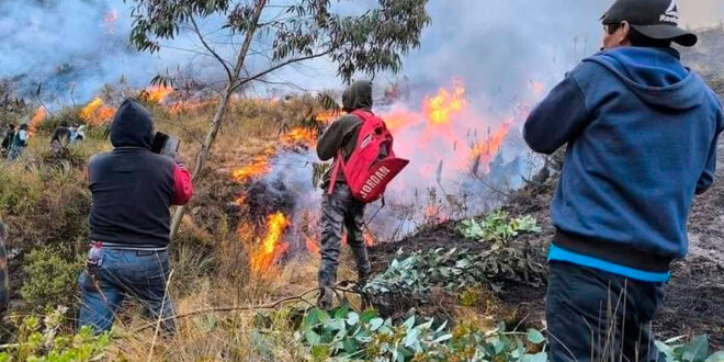 Cuatro fallecidos y cinco mil hectáreas de cobertura natural destruidas dejan los incendios forestales en Áncash