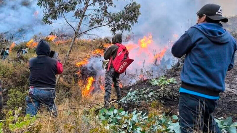 Cuatro fallecidos y cinco mil hectáreas de cobertura natural destruidas dejan los incendios forestales en Áncash