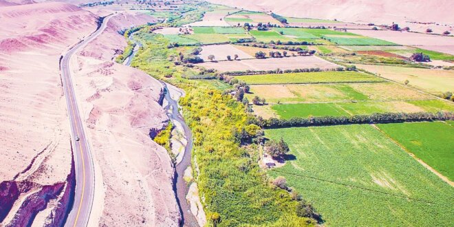 Pozos de agricultores en Cinto afectan a población de Locumba