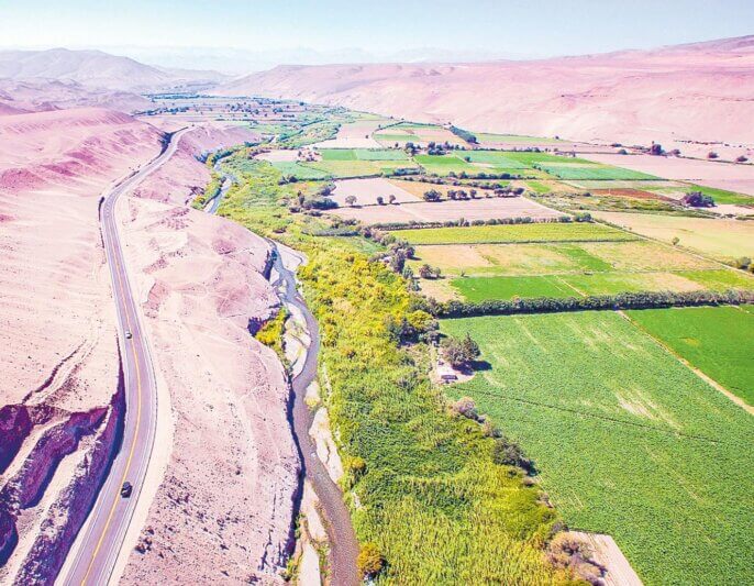 Pozos de agricultores en Cinto afectan a población de Locumba