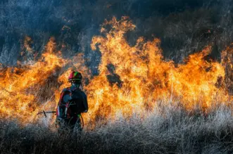 Los incendios avanzan por la Amazonía brasileña afectando a Sudamérica