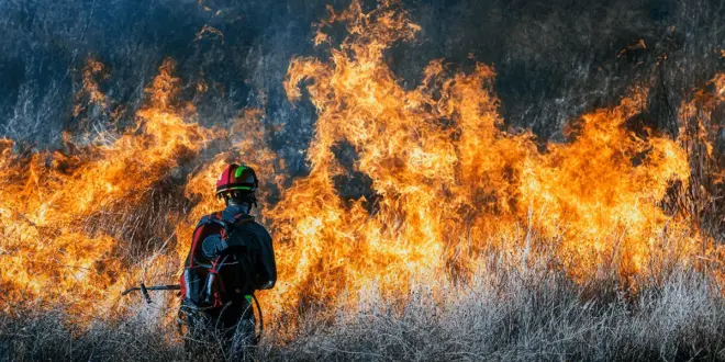 Los incendios avanzan por la Amazonía brasileña afectando a Sudamérica