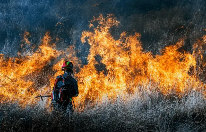 Los incendios avanzan por la Amazonía brasileña afectando a Sudamérica