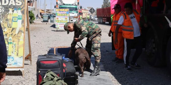 Realizan operativos en carreteras.