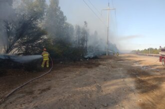 Corte de luz por incendio forestal perjudicó a 23 mil