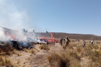 47 incendios forestales en Arequipa en el presente año