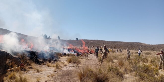 47 incendios forestales en Arequipa en el presente año