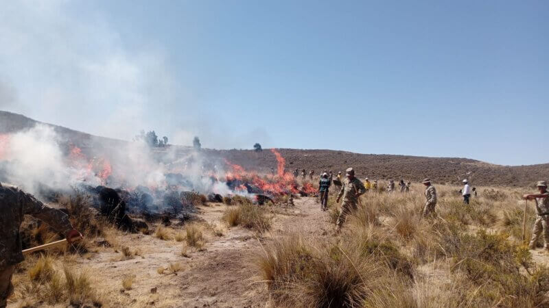 47 incendios forestales en Arequipa en el presente año