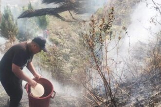 Cultivos son arrasados por incendio en Sandia