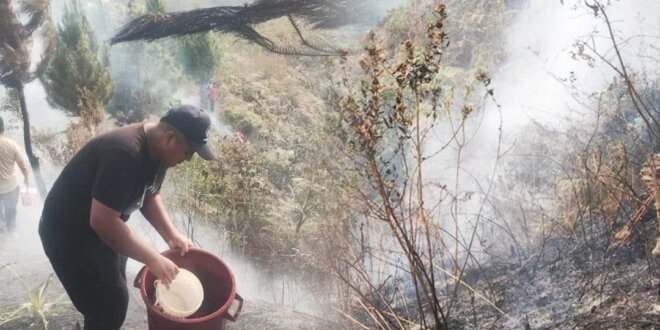 Cultivos son arrasados por incendio en Sandia