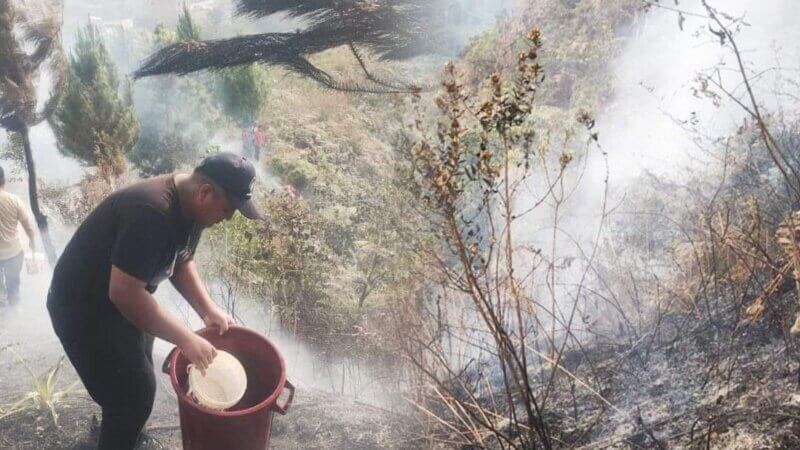 Cultivos son arrasados por incendio en Sandia