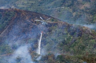 Controlan incendios forestales.