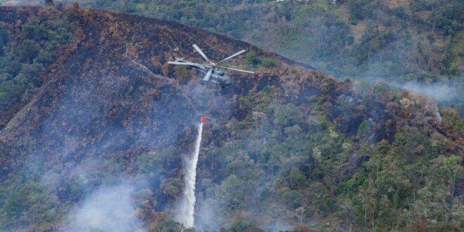 Controlan incendios forestales.