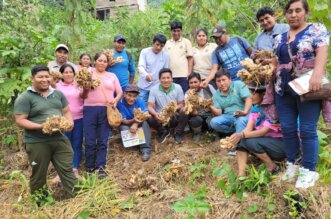 Puno. Realizará la I Rueda de Negocios de los productos de la selva puneña.