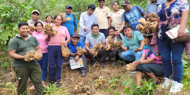 Puno. Realizará la I Rueda de Negocios de los productos de la selva puneña.