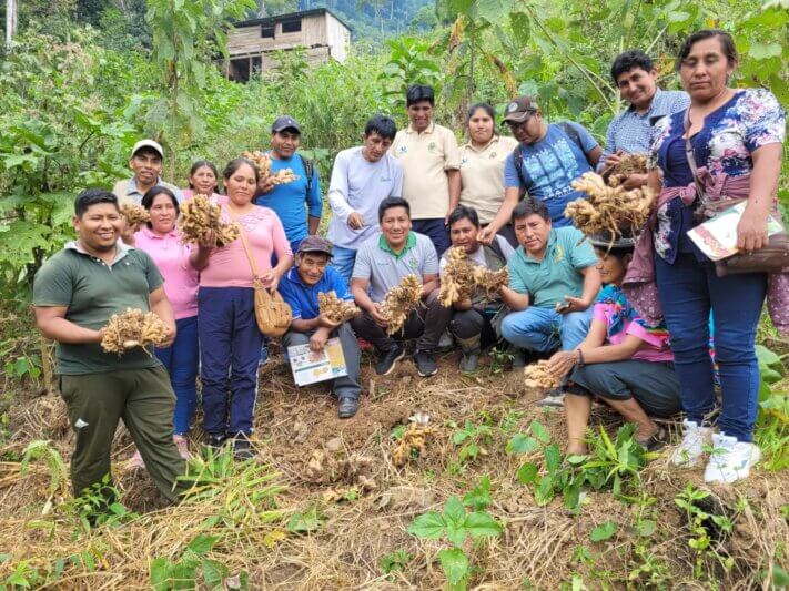 Puno. Realizará la I Rueda de Negocios de los productos de la selva puneña.