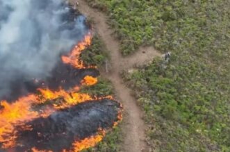 Incendios forestales dejan 14 fallecidos y 98 heridos