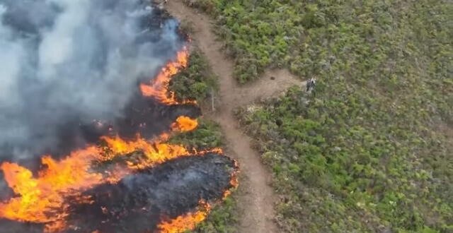 Incendios forestales dejan 14 fallecidos y 98 heridos