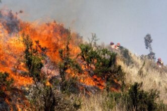 Sanción básica es de 4 a 6 años por tala o quema indebida de bosques.