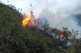 Incendios forestales.