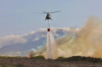 Controlan incendios forestales.