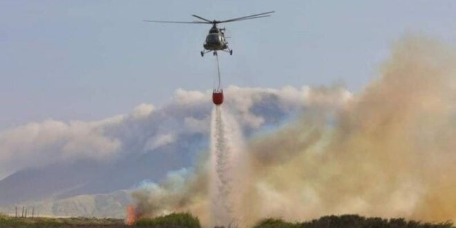 Controlan incendios forestales.