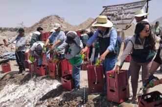 Más de 2.500 locales venden licor sin permiso de comuna