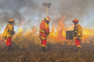 20 incendios forestales combatidos a la fecha