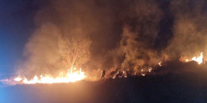 Infierno en Huerta Huaraya por incendio