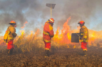 Puno: Más de 600 incendios forestales en la región