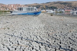 Alga chara acecha y amenaza el río Huile