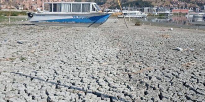 Alga chara acecha y amenaza el río Huile