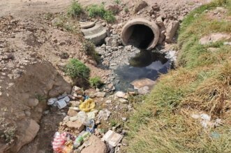 Piden que Fiscalía de Medio Ambiente intervenga.