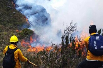 Emergencia ante la ocurrencia de incendios forestales.