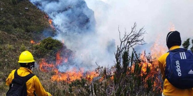 Emergencia ante la ocurrencia de incendios forestales.