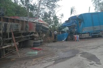 Choque frontal en la carretera Fernando Belaúnde Terry deja heridos y cerdos escapando