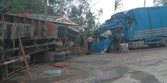 Choque frontal en la carretera Fernando Belaúnde Terry deja heridos y cerdos escapando