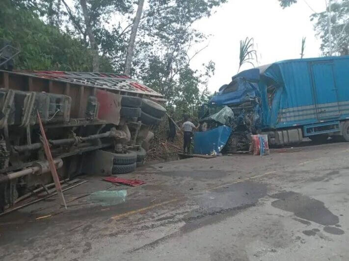 Choque frontal en la carretera Fernando Belaúnde Terry deja heridos y cerdos escapando