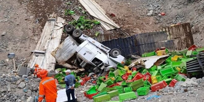 Camión cae a barranco en la costanera: chofer y ayudante resultan heridos