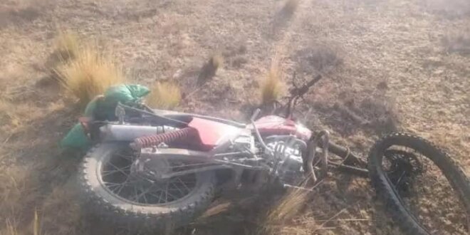 #Laraqueri Tragedia en la carretera Laraqueri - Puno Un motociclista identificado como Teodoro perdió la vida en un trágico accidente en esta ruta en el Kilometro 26. Las autoridades están en el lugar para realizar las investigaciones correspondientes.