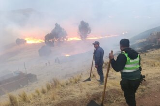 Fuego arrasa con 400 hectáreas de pastizales