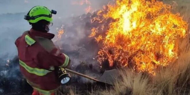 Incendio forestal amenaza comunidades de Lampa