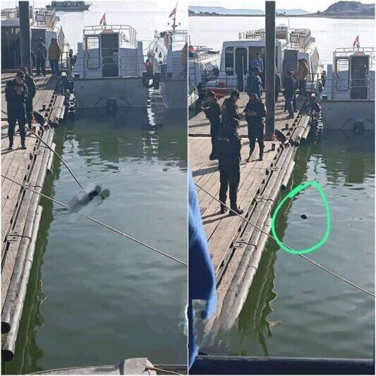 Identifican a jóven qué fue hallado sin vida en el puerto muelle de Puno.