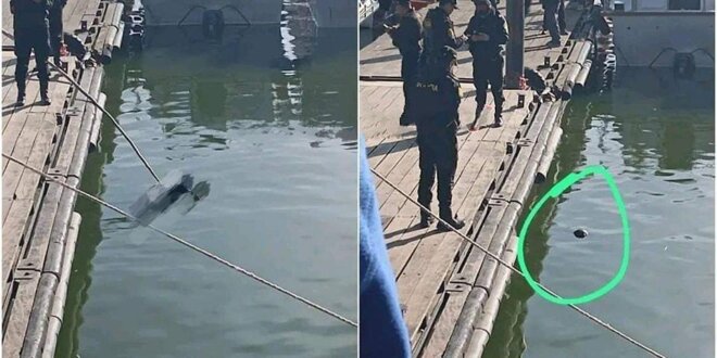 Identifican a jóven qué fue hallado sin vida en el puerto muelle de Puno.